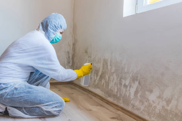 Hvac And Air Duct Mold Remediation inspection of HVAC system in Cherry Hill